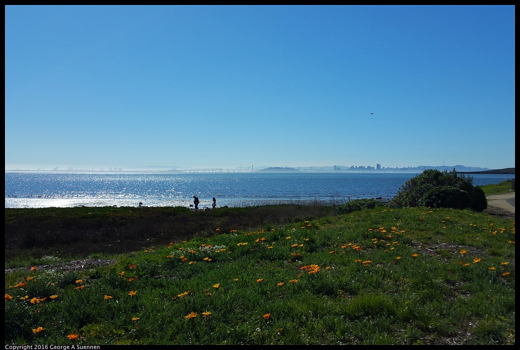 20160213_113927.jpg - San Francisco Bay