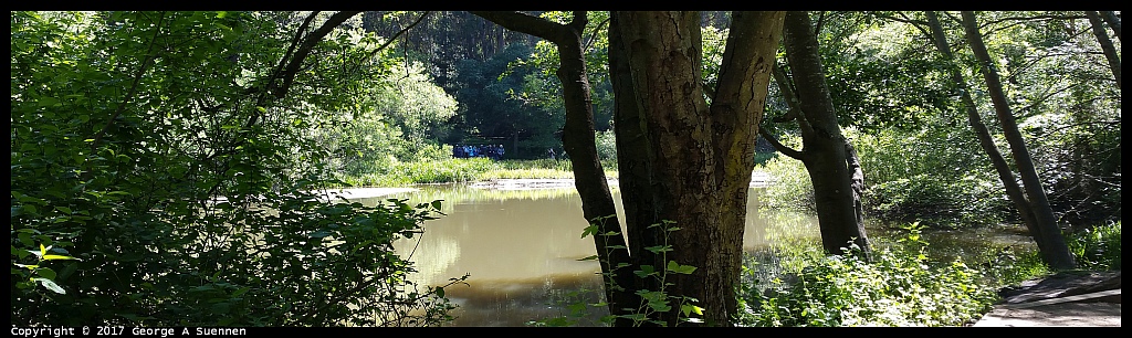 
Jewel Lake, Tilden Park Nature Area
