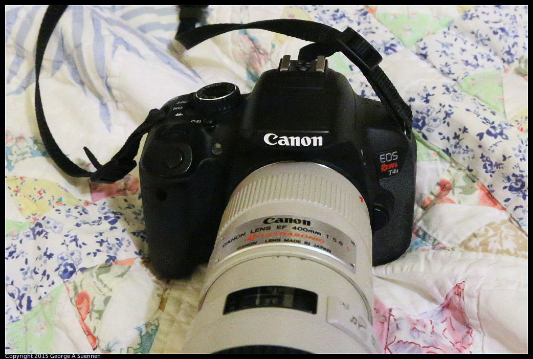 0415-221835-02.jpg - Canon 4Ti/650D with Canon EF 400 f/5.6L