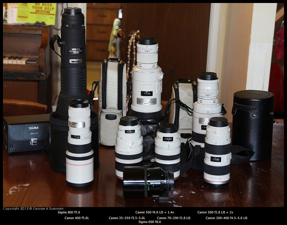 Long-Lenses.jpg - My Telephoto Lenses - Used for sports and wildlife photography