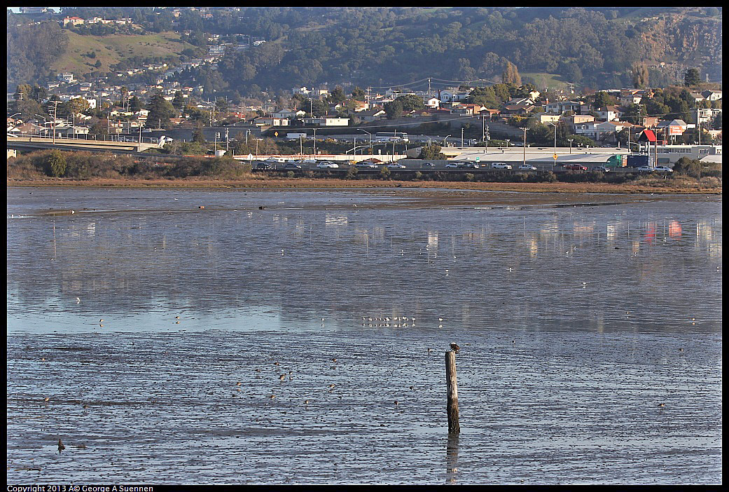 0115-085337-01.jpg - Osprey